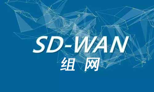 SD-WAN组网